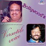 Bollywood'S Versatile Voice (Roopkumar Rathod & S.P. Balasubrahmanyam) - Sanjeevani Bhelande Song Download